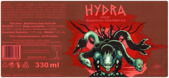 Browar Olimp: Hydra - Blackthorn Sour Brett Ale