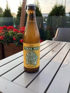 ReCraft: Thai APA