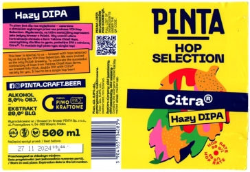 Pinta 2024 09 Citra Hazy Dipa