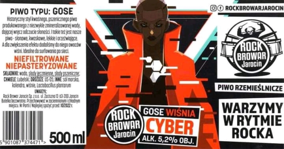 Browar Rockbrowar 2019 Cyber Gose Wisnia